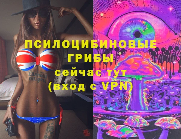 apvp Алзамай