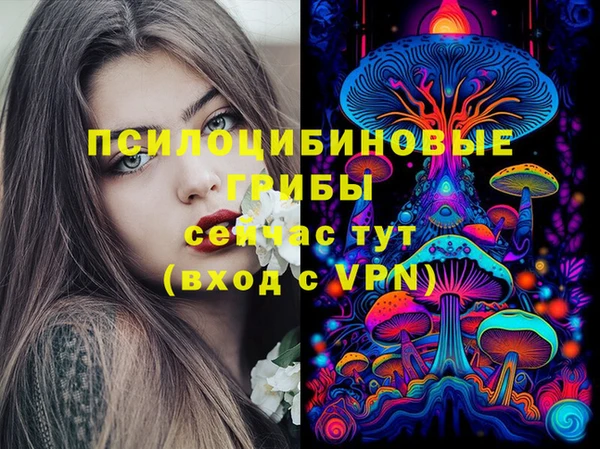apvp Алзамай