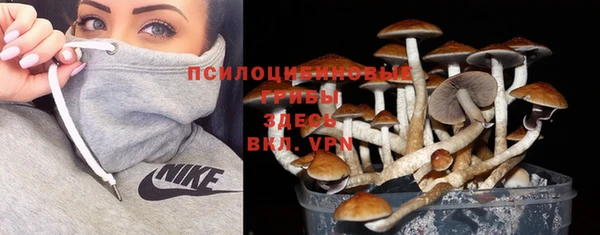 гидропоника Алексин