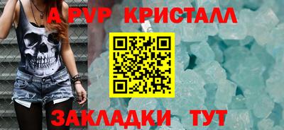 прущие грибы Нальчик