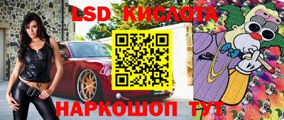 прущие грибы Нальчик