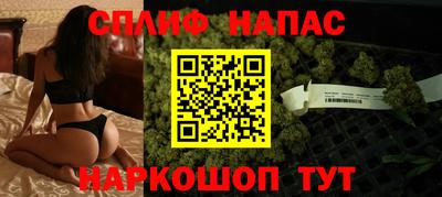 прущие грибы Нальчик