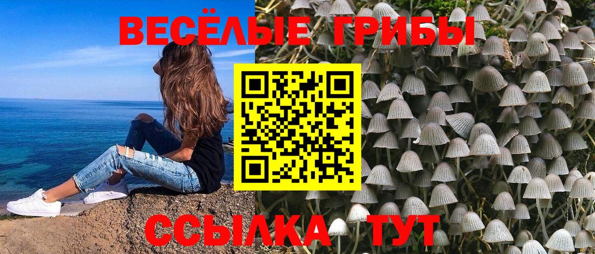 Псилоцибиновые грибы Psilocybe Саянск