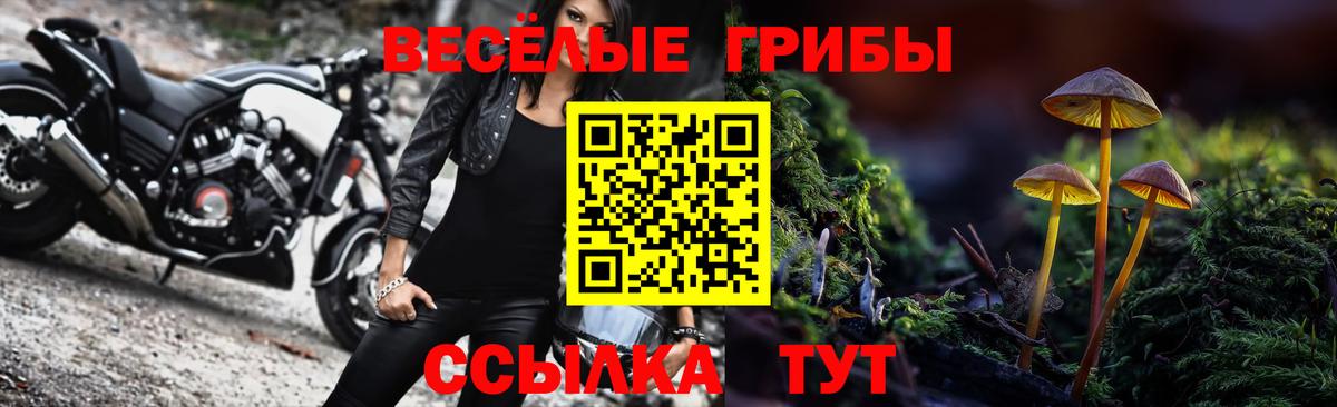 Саянск  Галлюциногенные грибы мицелий  где можно купить   Вход с VPN  Псилоцибиновые грибы Cubensis 